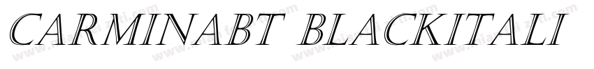CarminaBT BlackItali字体转换